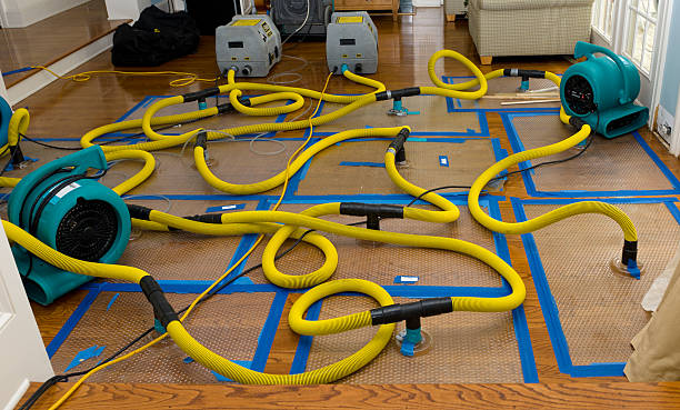 Professional Sewage Cleanup technician working in Christiansburg, VA